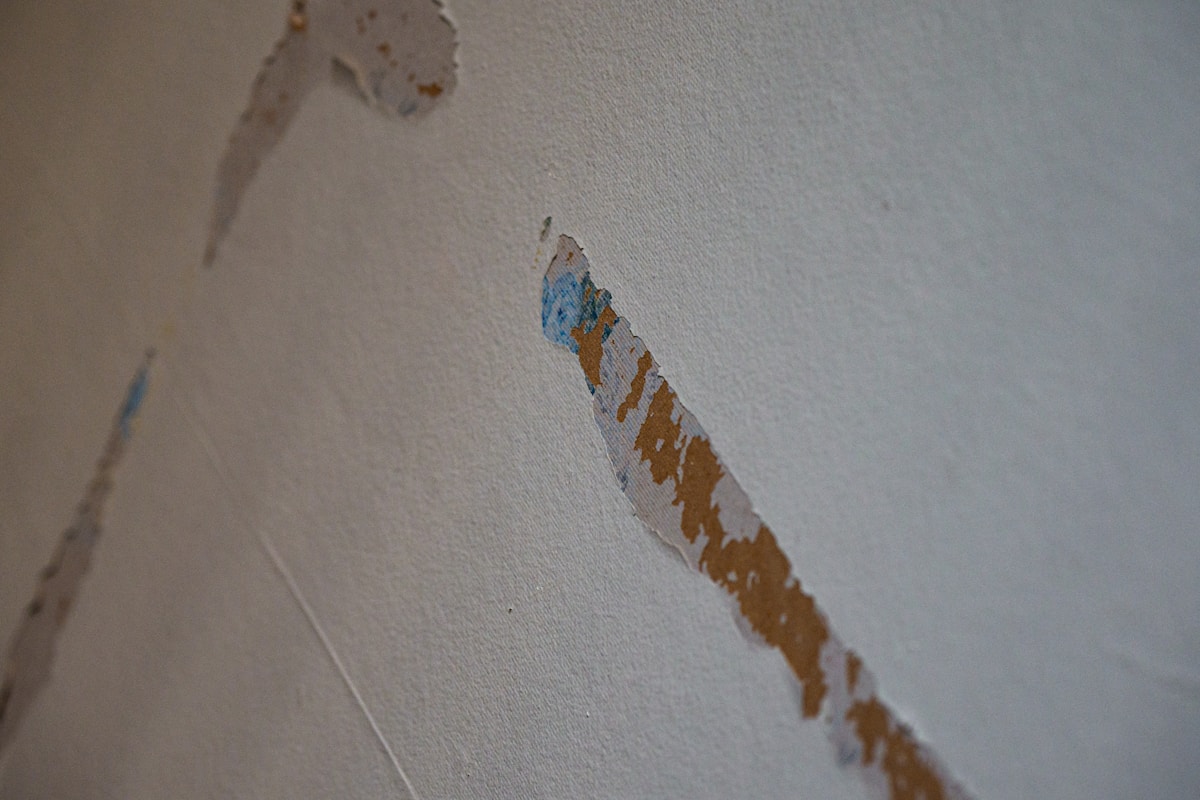 Sewage Cleanup service in Tampa, FL